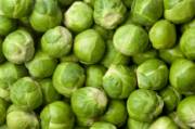 Brussels Sprouts_image